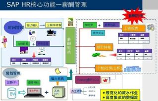 SAP HR 企业人力资源管理的数字化核心